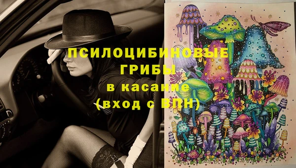 эйфоретик Абинск
