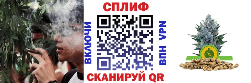Шишки марихуана планчик  как найти   Чегем 